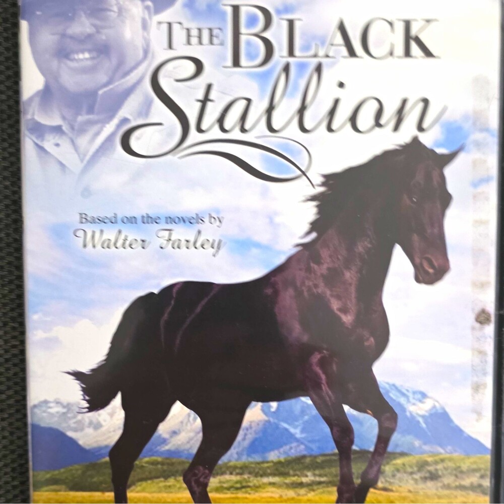The Black Stallion (DVD) Nicholas Kendall Mickey Rooney NR Interactive Menus